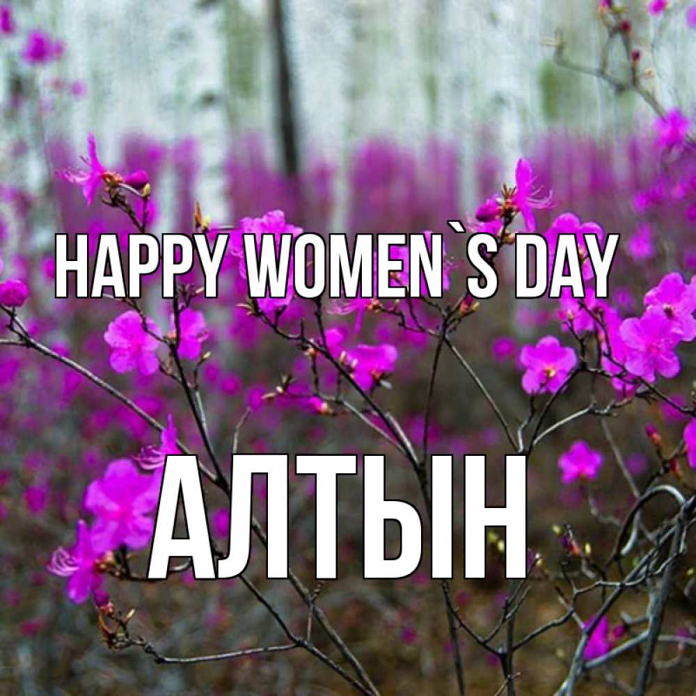 Greetings card с именем, АЛТЫН happy women`s day дикие цветы Greetings with text for free download 